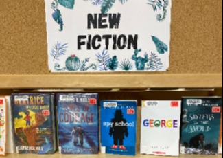 Chapter books displayed on a shelf.